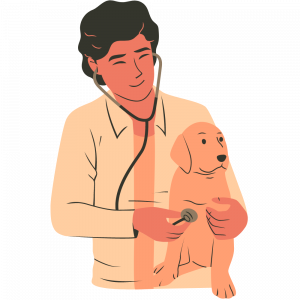 Xenovet