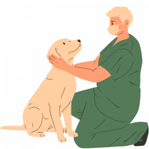 Xenovet